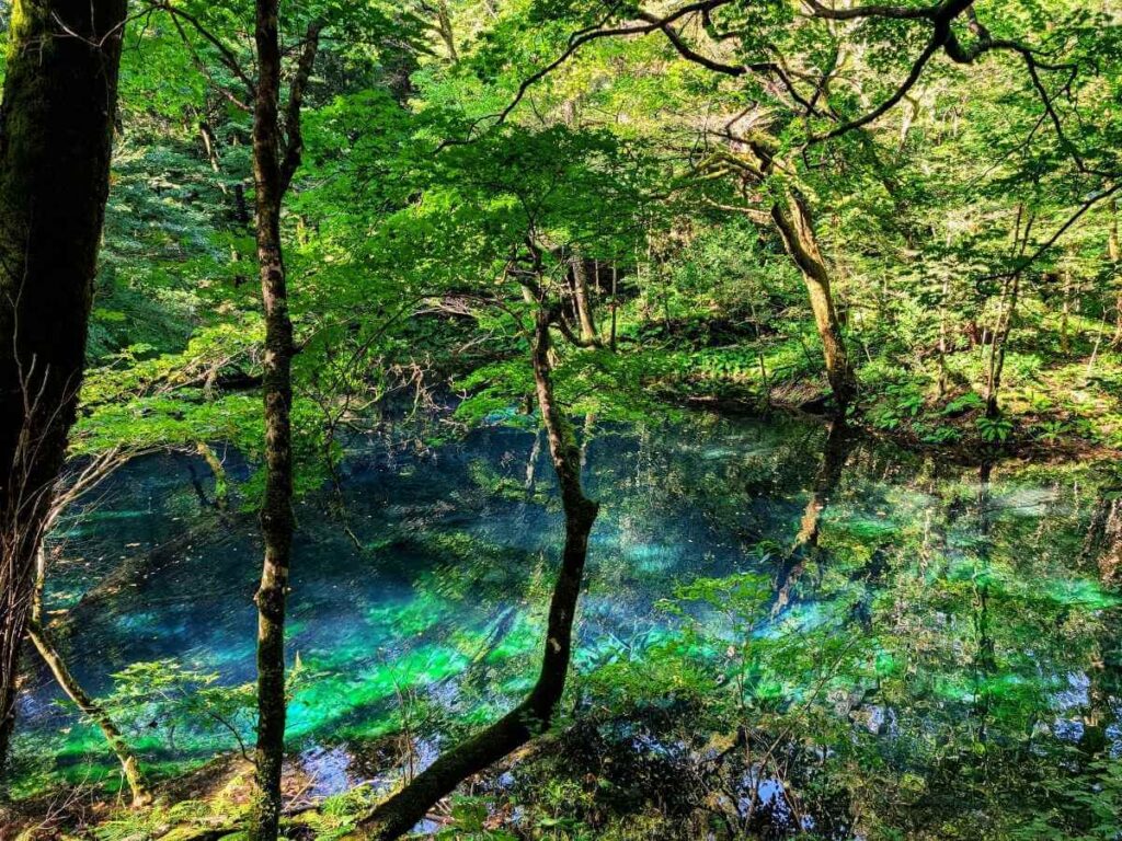 青森　白神山地　沸壺の池